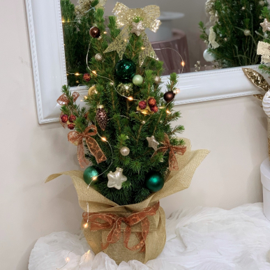 Украсена елха в саксия 2
