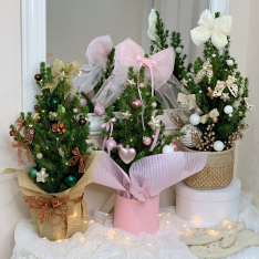 Украсена елха в саксия 2
