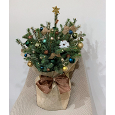 Голяма украсена елха в саксия 