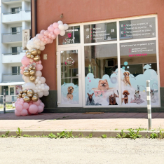 Украса с балони за нов обект