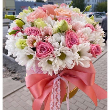 Кутия Лучия