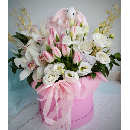 Кутия Алиса в страната на чудесата Кутия Алиса в страната на чудесата