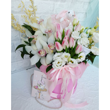 Кутия Алиса в страната на чудесата Кутия Алиса в страната на чудесата