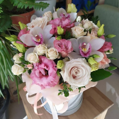 Кутия Любовна песен