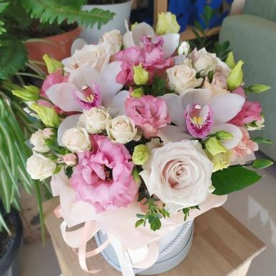 Кутия Любовна песен